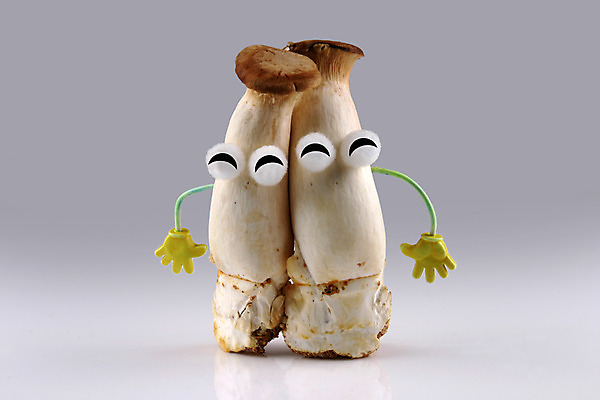 포토 JPG 스튜디오촬영 음식 컨셉 식재료 실내 의인화 사람없음 농작물 버섯 두개 식용버섯 새송이버섯 국내포토 2 농업 내부 파일형식