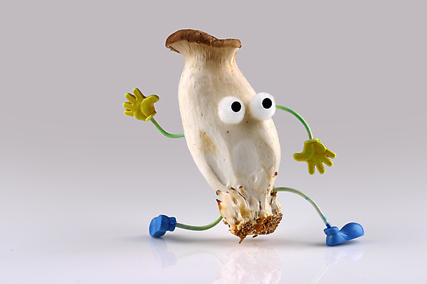 포토 JPG 스튜디오촬영 음식 컨셉 식재료 실내 의인화 사람없음 농작물 한개 버섯 식용버섯 새송이버섯 국내포토 1 농업 내부 파일형식