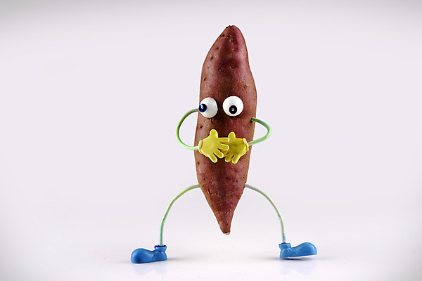 포토 JPG 스튜디오촬영 음식 컨셉 채소 식재료 뿌리채소 실내 의인화 사람없음 농작물 한개 자주색 고구마 국내포토 1 컬러 농업 내부 파일형식