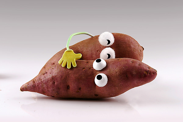 포토 JPG 스튜디오촬영 음식 컨셉 채소 식재료 뿌리채소 실내 의인화 사람없음 농작물 두개 자주색 고구마 국내포토 컬러 2 농업 내부 파일형식