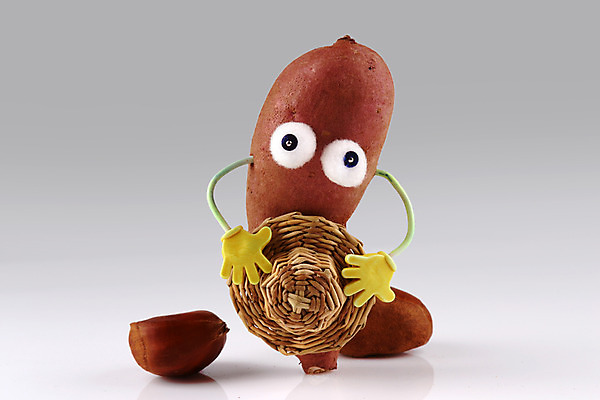 포토 JPG 스튜디오촬영 음식 컨셉 채소 식재료 실내 의인화 사람없음 농작물 견과류 두개 밤 고구마 국내포토 2 농업 뿌리채소 내부 파일형식