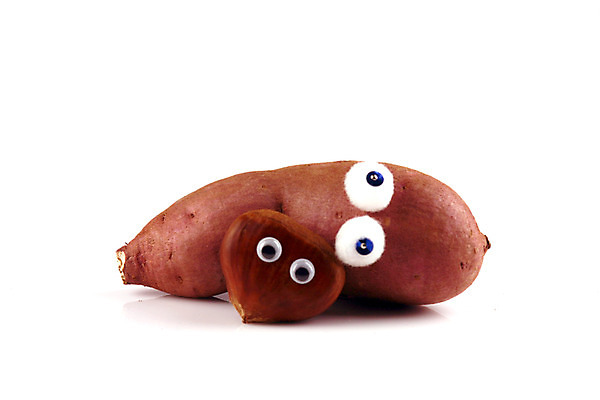 포토 JPG 스튜디오촬영 음식 컨셉 채소 식재료 실내 의인화 사람없음 농작물 견과류 두개 밤 고구마 국내포토 2 농업 뿌리채소 내부 파일형식