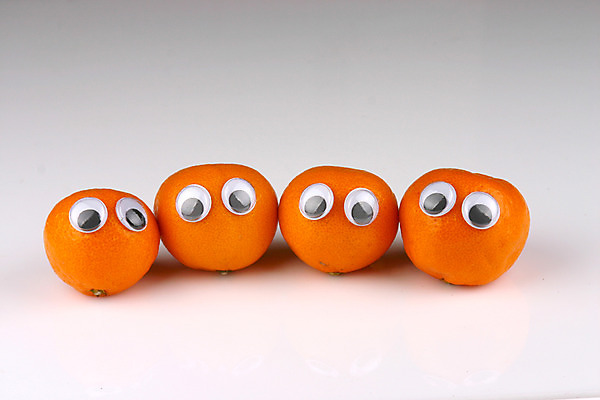 포토 JPG 스튜디오촬영 열매 음식 다수 컨셉 과일 귤 실내 의인화 사람없음 농작물 여러개 제철과일 국내포토 식물 농업 내부 제철 파일형식