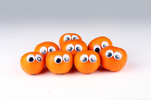 포토 JPG 스튜디오촬영 열매 음식 다수 컨셉 과일 귤 실내 의인화 사람없음 농작물 여러개 제철과일 국내포토 식물 농업 내부 제철 파일형식