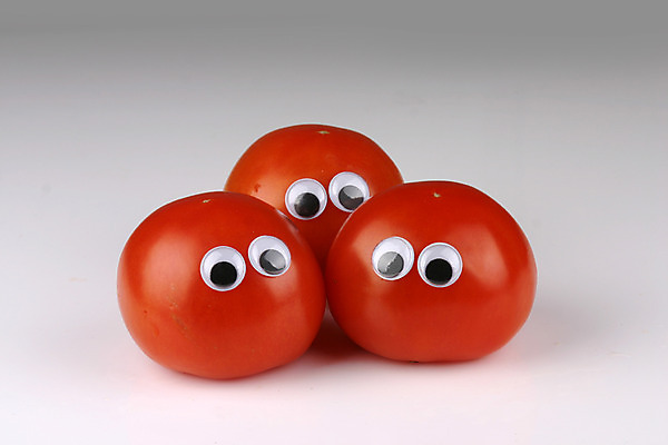 포토 JPG 스튜디오촬영 음식 컨셉 토마토 채소 식재료 실내 의인화 사람없음 빨간색 농작물 세개 국내포토 컬러 농업 3 내부 파일형식