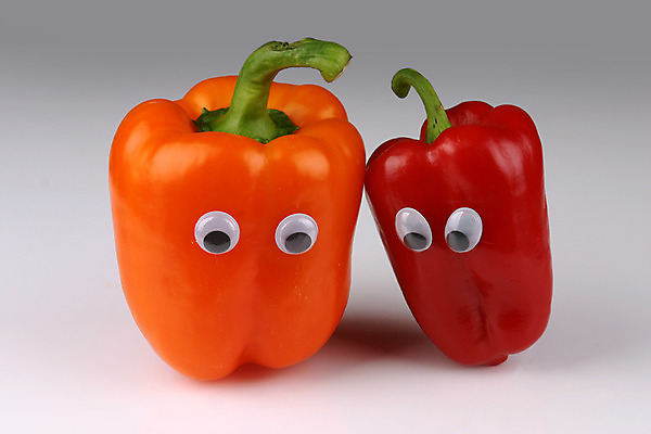 포토 JPG 스튜디오촬영 음식 컨셉 채소 식재료 파프리카 실내 의인화 사람없음 빨간색 농작물 주황색 두개 국내포토 컬러 2 농업 내부 파일형식