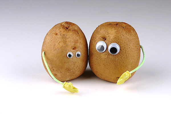 포토 JPG 스튜디오촬영 음식 컨셉 채소 식재료 감자 뿌리채소 실내 의인화 사람없음 농작물 두개 국내포토 2 농업 내부 파일형식