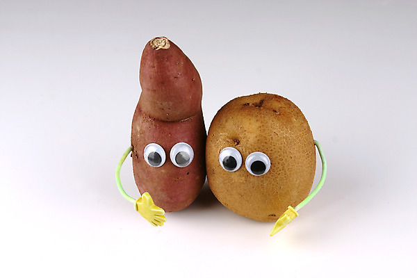 포토 JPG 스튜디오촬영 음식 컨셉 채소 식재료 감자 뿌리채소 실내 의인화 사람없음 농작물 두개 자주색 고구마 국내포토 컬러 2 농업 내부 파일형식
