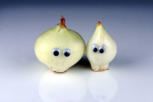 포토 JPG 스튜디오촬영 음식 컨셉 채소 식재료 양파 실내 의인화 사람없음 농작물 두개 흰색 국내포토 컬러 2 농업 내부 파일형식