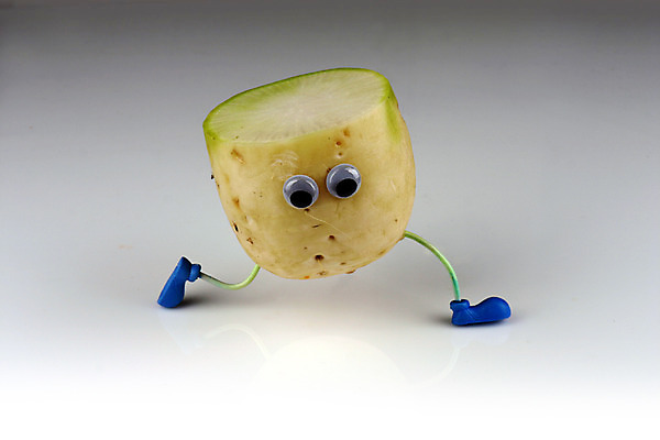 포토 JPG 스튜디오촬영 음식 컨셉 채소 식재료 단면 실내 의인화 사람없음 농작물 한개 무 슬라이스 국내포토 1 농업 뿌리채소 내부 파일형식