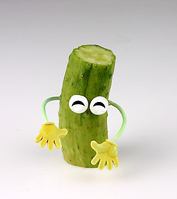 포토 JPG 스튜디오촬영 음식 컨셉 채소 식재료 오이 실내 의인화 사람없음 초록색 농작물 한개 국내포토 1 컬러 농업 내부 파일형식