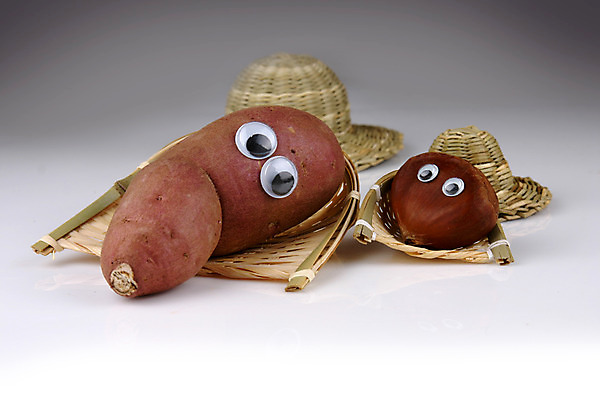 포토 JPG 스튜디오촬영 모자 음식 컨셉 채소 식재료 열쇠 실내 의인화 사람없음 농작물 견과류 두개 밤 자주색 키_도구 밀짚모자 고구마 국내포토 모자_잡화 잡화 컬러 2 농업 뿌리채소 내부 도구 파일형식