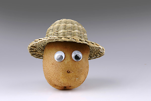 포토 JPG 스튜디오촬영 모자 잡화 음식 컨셉 채소 식재료 감자 뿌리채소 실내 의인화 사람없음 농작물 한개 밀짚모자 국내포토 모자_잡화 1 농업 내부 파일형식