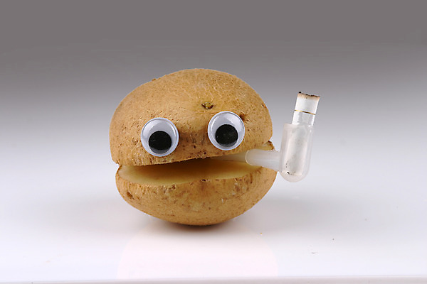 포토 JPG 스튜디오촬영 음식 컨셉 채소 식재료 단면 감자 뿌리채소 담배 실내 의인화 사람없음 농작물 슬라이스 담배꽁초 국내포토 농업 내부 파일형식