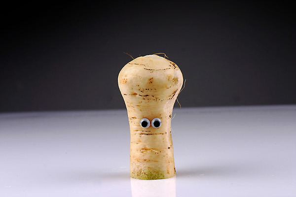 포토 JPG 스튜디오촬영 음식 컨셉 채소 식재료 뿌리채소 실내 의인화 사람없음 농작물 한개 무 국내포토 1 농업 내부 파일형식