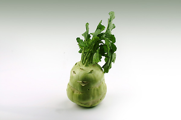 포토 JPG 스튜디오촬영 음식 잎 채소 식재료 실내 사람없음 초록색 농작물 한개 무 무청 국내포토 식물 1 컬러 농업 뿌리채소 내부 파일형식