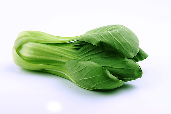 포토 JPG 스튜디오촬영 음식 채소 식재료 실내 사람없음 초록색 농작물 한개 청경채 국내포토 1 컬러 농업 내부 파일형식