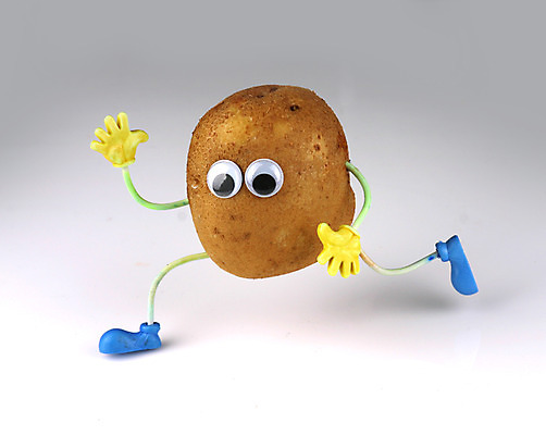 포토 JPG 스튜디오촬영 음식 컨셉 채소 식재료 감자 뿌리채소 실내 의인화 사람없음 농작물 한개 국내포토 1 농업 내부 파일형식