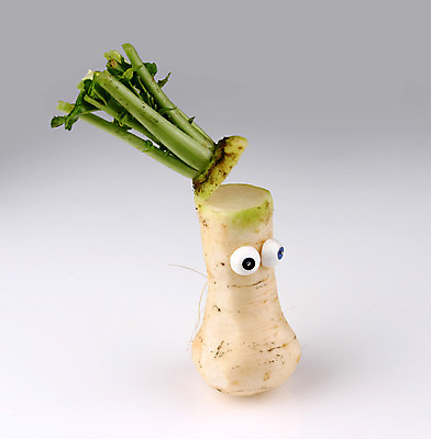 포토 JPG 스튜디오촬영 음식 컨셉 잎 채소 식재료 뿌리채소 실내 의인화 사람없음 초록색 농작물 한개 무 슬라이스 무청 국내포토 식물 1 컬러 농업 내부 파일형식