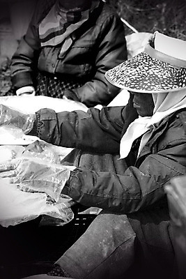 포토 JPG 주간 여자 노년 할머니 한국 흑백 사람 앉기 성인 야외 두명 판매 시장 상인 장사 재래시장 여자만 성인여자만 노인만 성인만 노인여자만 국내포토 자연요소 아시아 모션 촬영기법 상업 파일형식