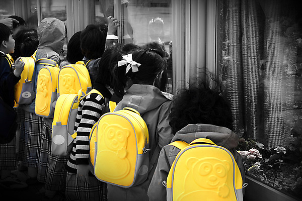 포토 JPG 주간 어린이라이프 어린이 가방 책가방 서기 사람 여러명 야외 뒷모습 유치원 유치원생 체험학습 군중 구경 견학 어린이만 국내포토 자연요소 라이프스타일 잡화 교육 뷰포인트 다수 모션 체험 파일형식