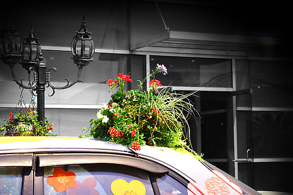 포토 JPG 주간 식물 건축물 꽃 가로등 자동차 출입구 거리 거리풍경 풍경 사람없음 야외 건물 문 비네팅 국내포토 자연요소 공공시설 건축 육상교통 촬영기법 파일형식