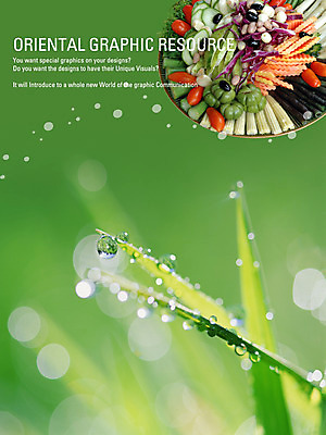 PSD 편집이미지 포스터 음식 채소 실내 요리 사람없음 식당 샐러드 감자튀김 물방울 풀 풀잎 알림 디지털합성 전단 홍보물 음식전단 이미지편집 식물 잎 감자 내부 상점 튀김 풀_식물 파일형식