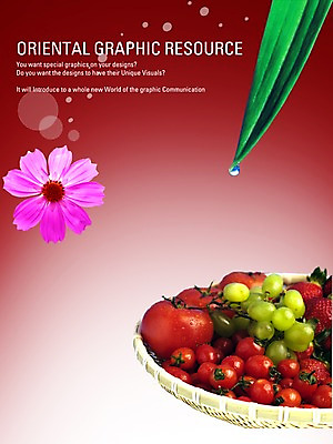 PSD 편집이미지 꽃 포스터 음식 잎 토마토 채소 과일 방울토마토 딸기 포도 나뭇잎 실내 사람없음 식당 물방울 알림 디지털합성 코스모스 전단 홍보물 음식전단 채반 이미지편집 식물 그릇 내부 상점 파일형식