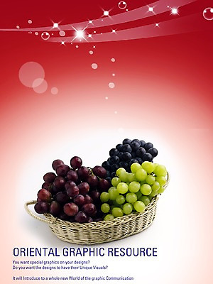 PSD 편집이미지 포스터 음식 과일 포도 실내 사람없음 바구니 식당 알림 디지털합성 전단 홍보물 음식전단 이미지편집 내부 상점 파일형식