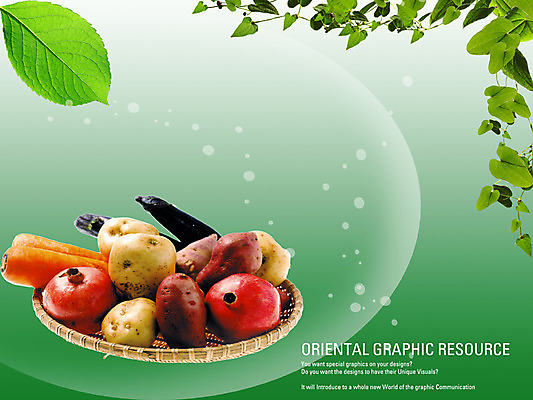 PSD 편집이미지 포스터 음식 잎 채소 과일 가지 나뭇잎 감자 실내 사람없음 식당 당근 담쟁이덩굴 알림 디지털합성 전단 홍보물 고구마 음식전단 석류 아이비 채반 이미지편집 식물 그릇 뿌리채소 내부 상점 덩굴 파일형식