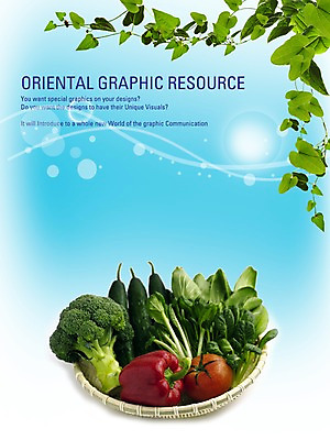PSD 편집이미지 포스터 음식 잎 토마토 채소 호박 피망 나뭇잎 실내 사람없음 식당 담쟁이덩굴 브로콜리 알림 디지털합성 전단 홍보물 음식전단 청경채 아이비 채반 이미지편집 식물 그릇 내부 상점 덩굴 파일형식