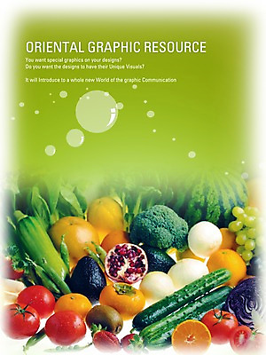 PSD 편집이미지 열매 포스터 음식 토마토 채소 과일 고추 호박 포도 양파 오이 귤 수박 실내 키위 감 사람없음 식당 브로콜리 알림 디지털합성 전단 홍보물 음식전단 참외 이미지편집 식물 내부 상점 파일형식