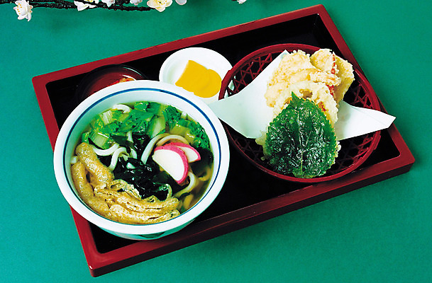 포토 JPG 음식 사람없음 튀김 면류 분식 우동 깻잎튀김 국내포토 일본음식 파일형식