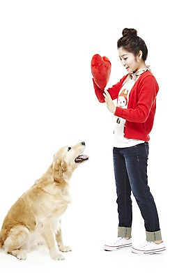 포토 JPG 스튜디오촬영 전신 동물 한마리 라이프스타일 여자 반려견 포즈 쿠션 포유류 함께함 실내 한명 서기 웃음 들기 사람 앉기 동양인 손짓 20대 성인 라이프 옆모습 반려동물 한국인 가리킴 개 골든리트리버 지시 명령 소통 반려 여자만 여자한명만 성인여자만 청년만 청년여자만 성인한명만 청년여자한명만 성인여자한명만 성인만 펫팸족 국내포토 1 뷰포인트 컨셉 모션 표정 인종 청년 내부 생활 리트리버 신조어 파일형식