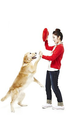 포토 JPG 스튜디오촬영 전신 동물 한마리 라이프스타일 여자 반려견 포즈 쿠션 포유류 함께함 실내 한명 서기 웃음 들기 사람 동양인 손짓 20대 성인 라이프 옆모습 반려동물 한국인 가리킴 개 골든리트리버 지시 명령 소통 반려 여자만 여자한명만 성인여자만 청년만 청년여자만 성인한명만 청년여자한명만 성인여자한명만 성인만 펫팸족 국내포토 1 뷰포인트 컨셉 모션 표정 인종 청년 내부 생활 리트리버 신조어 파일형식