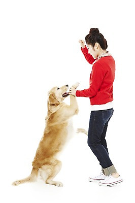 포토 JPG 스튜디오촬영 전신 동물 한마리 라이프스타일 여자 반려견 포즈 포유류 함께함 실내 한명 서기 웃음 사람 동양인 손짓 20대 성인 라이프 옆모습 반려동물 한국인 가리킴 개 골든리트리버 지시 명령 소통 반려 여자만 여자한명만 성인여자만 청년만 청년여자만 성인한명만 청년여자한명만 성인여자한명만 성인만 펫팸족 국내포토 1 뷰포인트 컨셉 모션 표정 인종 청년 내부 생활 리트리버 신조어 파일형식