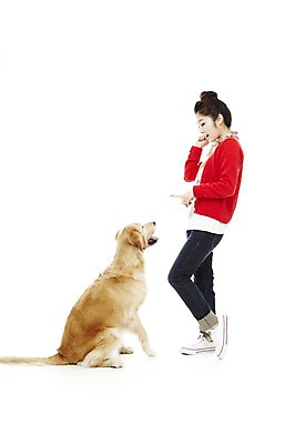 포토 JPG 스튜디오촬영 전신 동물 한마리 라이프스타일 여자 반려견 포즈 포유류 함께함 실내 한명 서기 웃음 사람 동양인 손짓 20대 성인 라이프 옆모습 반려동물 한국인 가리킴 개 골든리트리버 지시 명령 소통 반려 여자만 여자한명만 성인여자만 청년만 청년여자만 성인한명만 청년여자한명만 성인여자한명만 성인만 펫팸족 국내포토 1 뷰포인트 컨셉 모션 표정 인종 청년 내부 생활 리트리버 신조어 파일형식