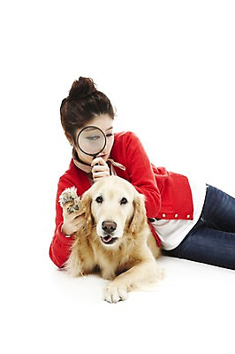 포토 JPG 스튜디오촬영 동물 한마리 라이프스타일 여자 반려견 포즈 포유류 안기 돋보기 함께함 실내 한명 사람 동양인 상반신 20대 성인 라이프 반려동물 눕기 한국인 관찰 개 골든리트리버 소통 반려 여자만 여자한명만 성인여자만 청년만 청년여자만 성인한명만 청년여자한명만 성인여자한명만 성인만 펫팸족 국내포토 1 컨셉 모션 인종 청년 내부 생활 리트리버 신조어 파일형식