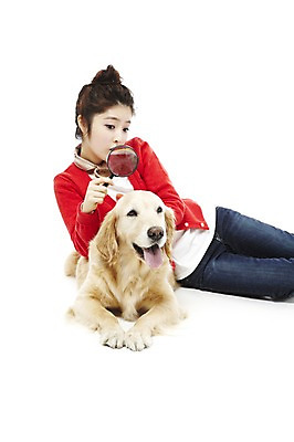 포토 JPG 스튜디오촬영 동물 한마리 라이프스타일 여자 반려견 포즈 포유류 안기 돋보기 함께함 실내 한명 웃음 사람 동양인 상반신 20대 성인 라이프 반려동물 눕기 한국인 관찰 개 골든리트리버 소통 반려 여자만 여자한명만 성인여자만 청년만 청년여자만 성인한명만 청년여자한명만 성인여자한명만 성인만 펫팸족 국내포토 1 컨셉 모션 표정 인종 청년 내부 생활 리트리버 신조어 파일형식