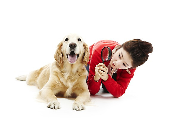 포토 JPG 스튜디오촬영 동물 한마리 라이프스타일 여자 반려견 엎드리기 포즈 포유류 돋보기 함께함 실내 한명 사람 동양인 상반신 20대 성인 라이프 반려동물 눕기 한국인 관찰 개 골든리트리버 소통 반려 여자만 여자한명만 성인여자만 청년만 청년여자만 성인한명만 청년여자한명만 성인여자한명만 성인만 펫팸족 국내포토 1 컨셉 모션 인종 청년 내부 생활 리트리버 신조어 파일형식