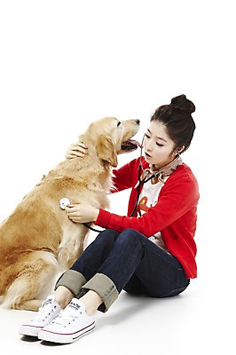 포토 JPG 스튜디오촬영 전신 동물 한마리 라이프스타일 여자 반려견 포즈 포유류 청진기 함께함 실내 한명 사람 앉기 동양인 20대 성인 라이프 반려동물 진료 한국인 의료용품 개 골든리트리버 소통 반려 여자만 여자한명만 성인여자만 청년만 청년여자만 성인한명만 청년여자한명만 성인여자한명만 성인만 펫팸족 국내포토 1 컨셉 의학 의료기기 모션 인종 청년 내부 생활 리트리버 신조어 파일형식