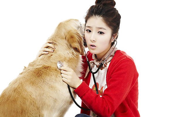 포토 JPG 스튜디오촬영 동물 한마리 라이프스타일 여자 반려견 포즈 포유류 청진기 안기 함께함 실내 한명 사람 앉기 동양인 상반신 20대 성인 라이프 반려동물 진료 한국인 의료용품 개 골든리트리버 소통 반려 여자만 여자한명만 성인여자만 청년만 청년여자만 성인한명만 청년여자한명만 성인여자한명만 성인만 펫팸족 국내포토 1 컨셉 의학 의료기기 모션 인종 청년 내부 생활 리트리버 신조어 파일형식