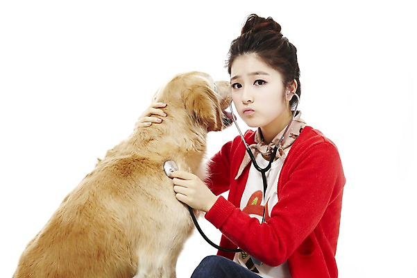 포토 JPG 스튜디오촬영 동물 한마리 라이프스타일 여자 반려견 포즈 포유류 청진기 안기 함께함 실내 한명 사람 앉기 동양인 상반신 20대 성인 라이프 반려동물 진료 한국인 의료용품 개 골든리트리버 소통 반려 여자만 여자한명만 성인여자만 청년만 청년여자만 성인한명만 청년여자한명만 성인여자한명만 성인만 펫팸족 국내포토 1 컨셉 의학 의료기기 모션 인종 청년 내부 생활 리트리버 신조어 파일형식