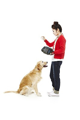포토 JPG 스튜디오촬영 전신 동물 한마리 라이프스타일 여자 반려견 포즈 공 포유류 놀이 함께함 실내 한명 서기 들기 사람 앉기 동양인 20대 성인 라이프 옆모습 반려동물 한국인 야구용품 글러브 권투글러브 야구글러브 개 골든리트리버 야구공 소통 반려 여자만 여자한명만 성인여자만 청년만 청년여자만 성인한명만 청년여자한명만 성인여자한명만 성인만 펫팸족 국내포토 1 스포츠용품 뷰포인트 장갑 컨셉 모션 인종 청년 내부 생활 야구 리트리버 신조어 파일형식
