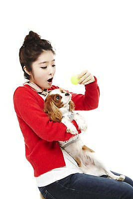 포토 JPG 스튜디오촬영 동물 한마리 라이프스타일 여자 반려견 포즈 공 포유류 안기 놀이 함께함 실내 한명 들기 사람 앉기 동양인 상반신 20대 성인 라이프 반려동물 한국인 스패니얼 테니스용품 개 테니스공 소통 반려 킹찰스스패니얼 여자만 여자한명만 성인여자만 청년만 청년여자만 성인한명만 청년여자한명만 성인여자한명만 성인만 펫팸족 국내포토 1 스포츠용품 컨셉 모션 인종 청년 내부 생활 테니스 신조어 파일형식