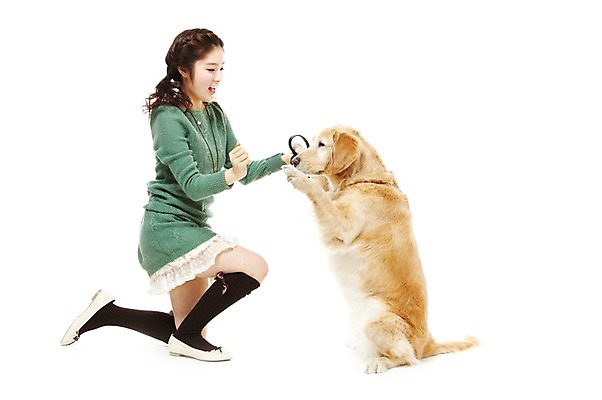 포토 JPG 스튜디오촬영 전신 동물 한마리 라이프스타일 여자 반려견 포즈 포유류 함께함 실내 한명 서기 웃음 사람 앉기 동양인 20대 성인 라이프 옆모습 반려동물 한국인 개 골든리트리버 지시 연습 하이파이브 명령 반려 여자만 여자한명만 성인여자만 청년만 청년여자만 성인한명만 청년여자한명만 성인여자한명만 성인만 펫팸족 국내포토 1 뷰포인트 컨셉 모션 표정 인종 손짓 청년 내부 생활 리트리버 신조어 파일형식