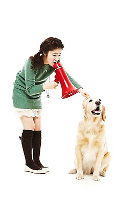 포토 JPG 스튜디오촬영 전신 동물 한마리 라이프스타일 여자 반려견 포즈 포유류 함께함 실내 한명 서기 들기 사람 앉기 동양인 손짓 20대 성인 라이프 반려동물 확성기 한국인 분노 개 골든리트리버 꾸지람 잔소리 반려 여자만 여자한명만 성인여자만 청년만 청년여자만 성인한명만 청년여자한명만 성인여자한명만 성인만 펫팸족 국내포토 1 감정 컨셉 모션 인종 청년 내부 생활 리트리버 체벌 신조어 파일형식