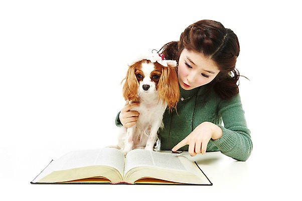 포토 JPG 스튜디오촬영 동물 한마리 라이프스타일 여자 반려견 포즈 포유류 함께함 실내 한명 사람 앉기 동양인 손짓 상반신 20대 성인 라이프 책 반려동물 한국인 스패니얼 가리킴 개 한권 반려 킹찰스스패니얼 여자만 여자한명만 성인여자만 청년만 청년여자만 성인한명만 청년여자한명만 성인여자한명만 성인만 펫팸족 국내포토 1 컨셉 모션 인종 청년 내부 생활 신조어 파일형식