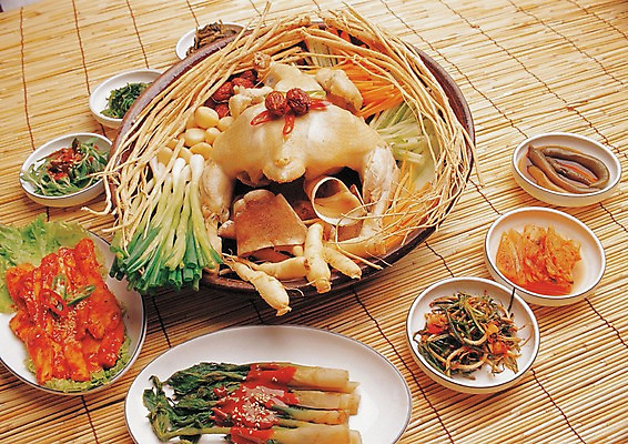 포토 JPG 한국문화 한식 음식 채소 반찬 여름음식 김치 실내 육류 사람없음 닭고기 산삼 인삼 나물 삼계탕 제철음식 국내포토 동양문화 식재료 한국 내부 삼 보양식 제철 파일형식 여름_계절