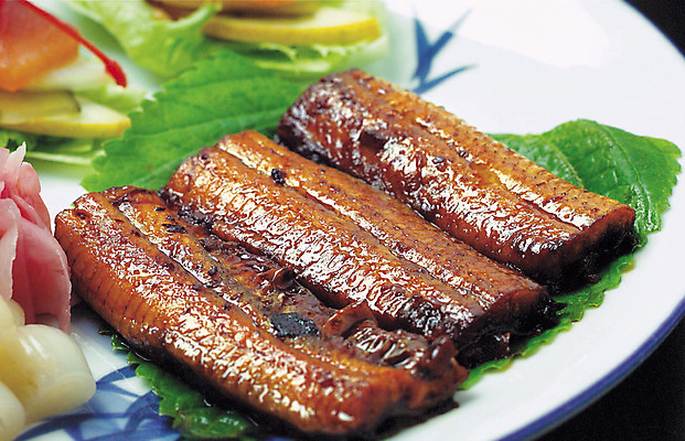 포토 JPG 한국문화 한식 음식 채소 실내 사람없음 장어 장어구이 국내포토 동양문화 한국 어류 내부 생선요리 파일형식